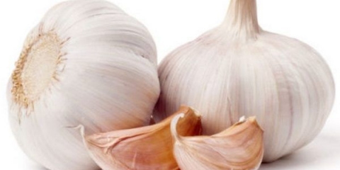 Šta gnojiti za bijeli luk prilikom sadnje u jesen